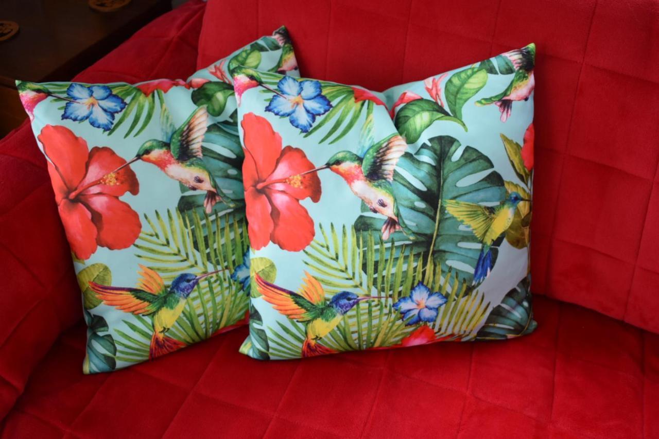 Hibiscus Bed & Breakfast Waihi Exteriör bild